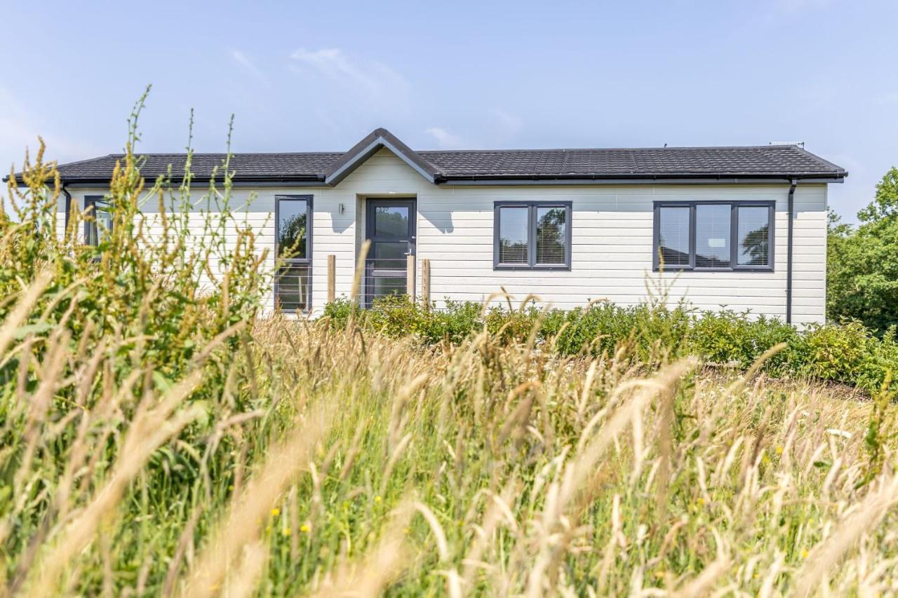 Rose Lodge, 21 Roadford Lake Lodges Lifton Eksteriør billede